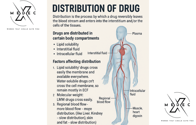 Distribution of Drug: How It Makes or Breaks Drug Effectiveness 1 Distribution of drug