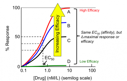 Pharmacodynamic of drug 6 bn