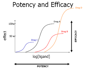 Pharmacodynamic of drug 1 Pharmacodynamic