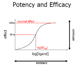 Pharmacodynamic of drug 3 Pharmacodynamic